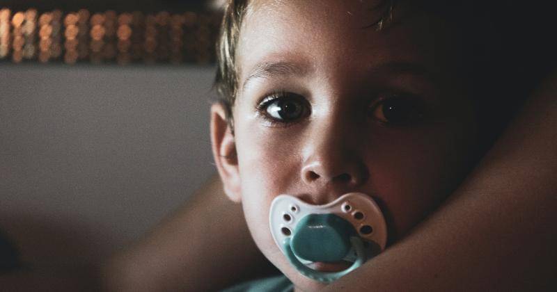 Pexels/Arie van Ravenswaay