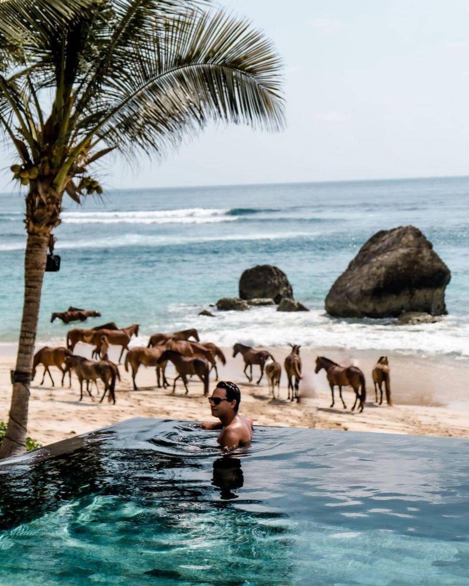 Instagram.com/nihisumba