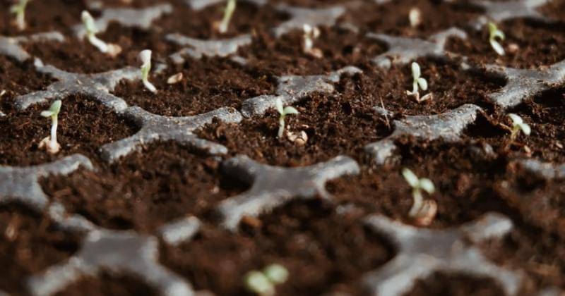 Unsplash/Devi Puspita Amartha Yahya