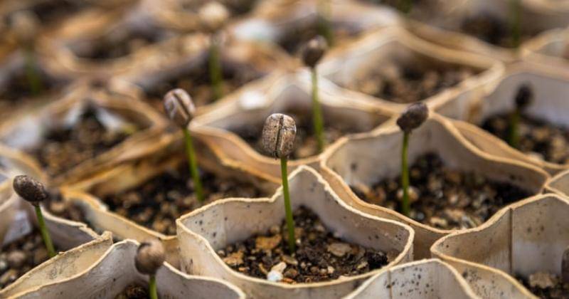 Unsplash/Christian Jaudrey