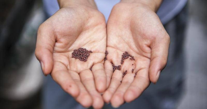 Unsplash/Joshua Lanzarini