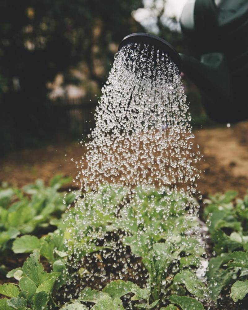 Unsplash/Markus Spiske