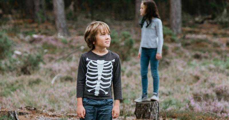 Unsplash/Annie Spratt