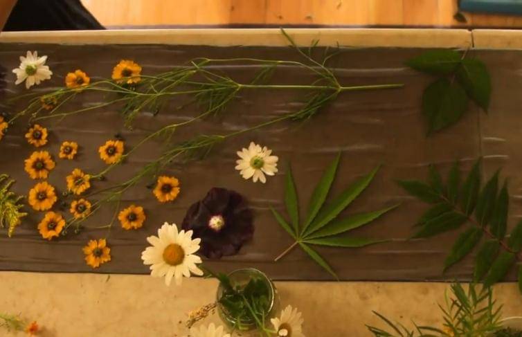 Youtube/howdowehuman