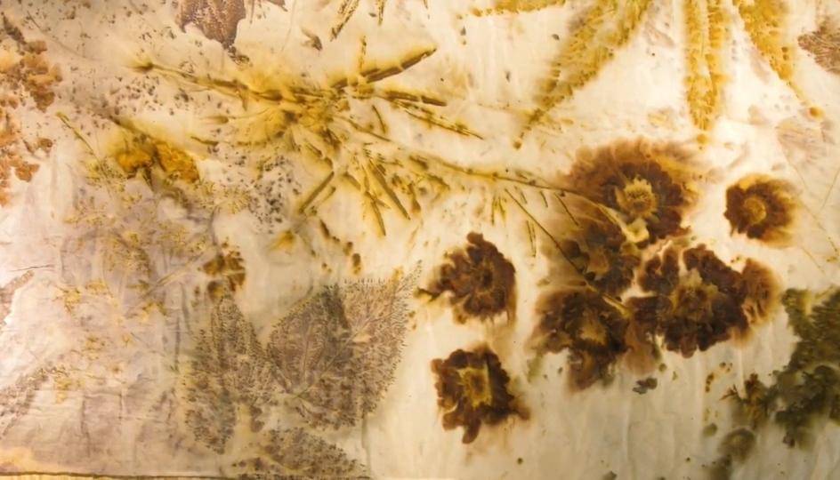 Youtube/howdowehuman