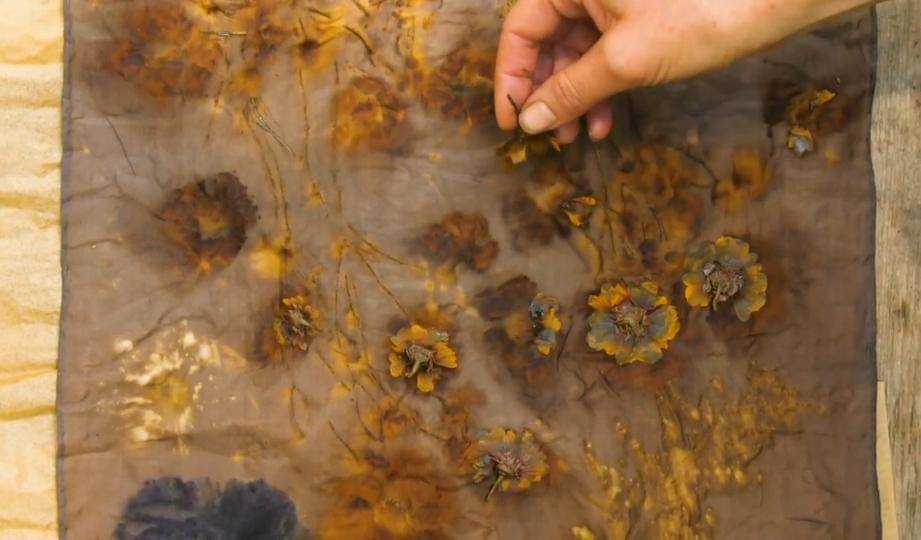 Youtube/howdowehuman