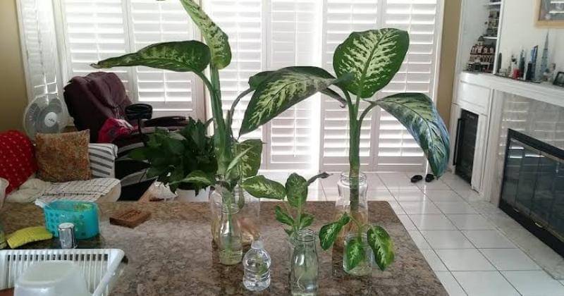 Youtube.com/carbrickscity