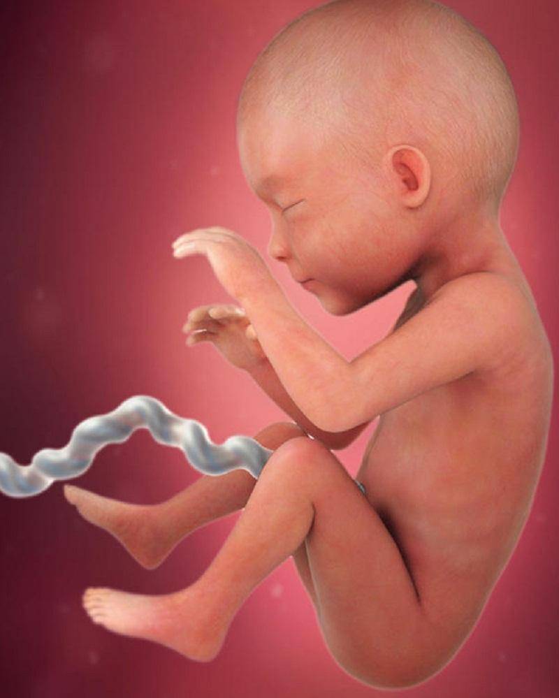 Babycenter.uk