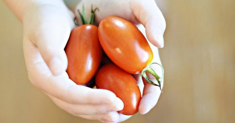 Unsplash/Davies Design Studios