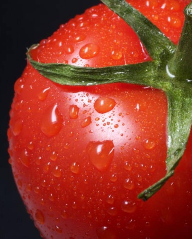 Unsplash/Dennis Klein