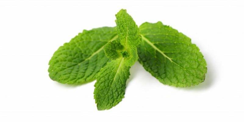 Freepik/Racool_studio