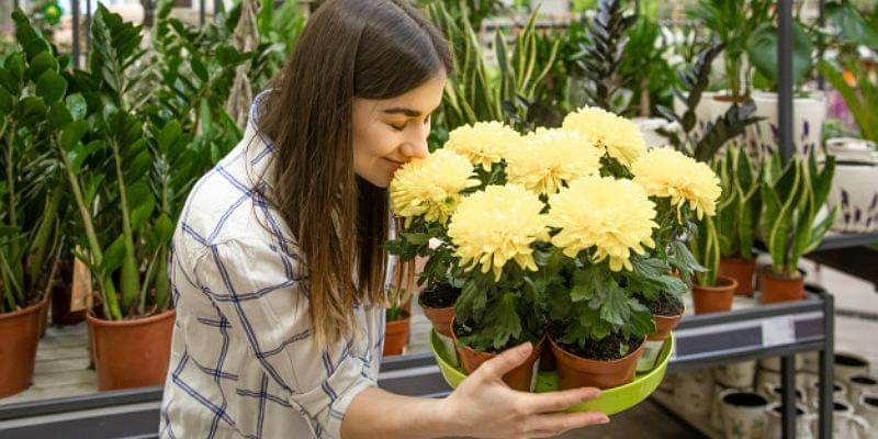 Freepik/pvproductions 