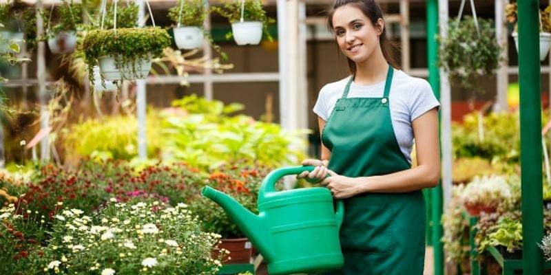 Freepik/cookie_studio