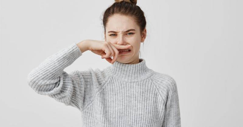 Freepik/cookie_studio