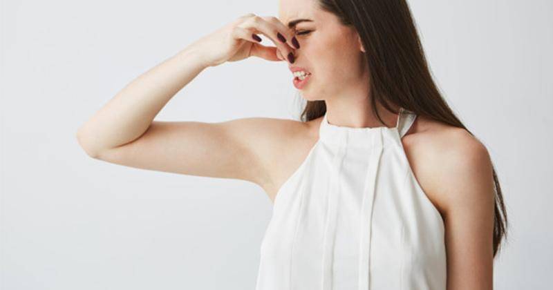 Freepik/cookie_studio