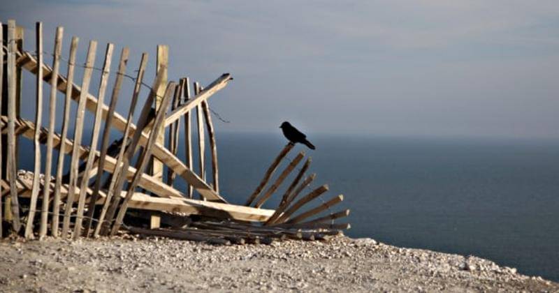 Unsplash/Jaleel Akbash