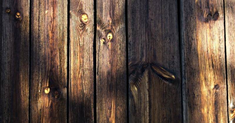 Unsplash/Grzegorz Mleczek