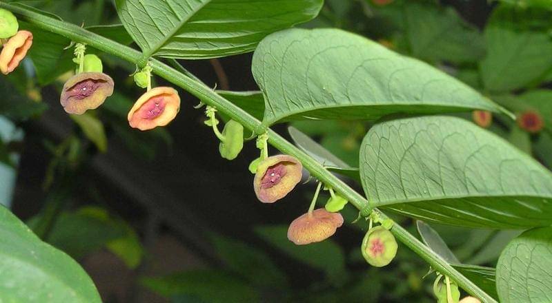 flickr.com/photos/nhq9801