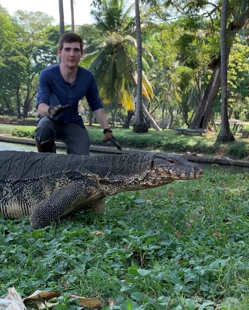 Instagram.com/Jacksworldofwildlife