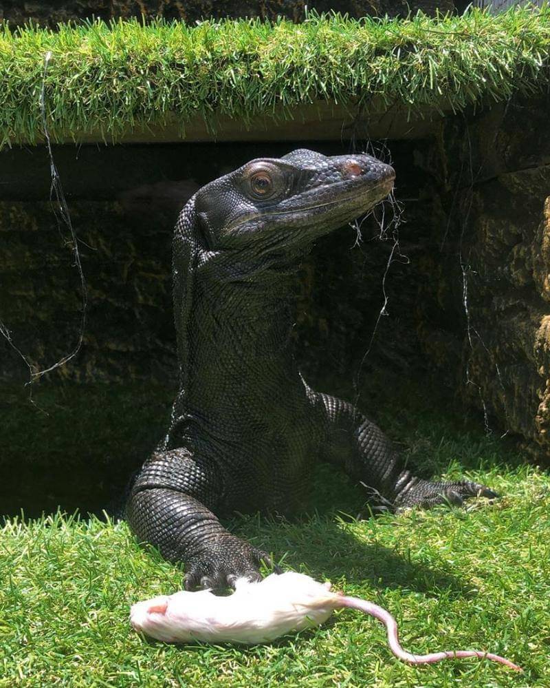 Instagram.com/Owwwwwwwwokc