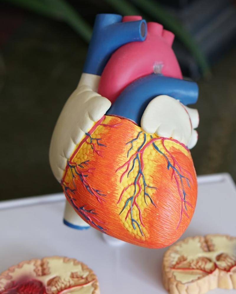 Unsplash/Robina Weermeijer