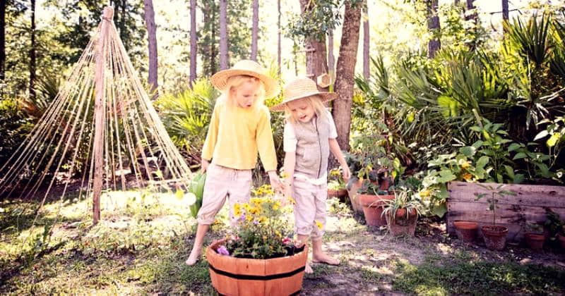 Unsplash/Amber Faust