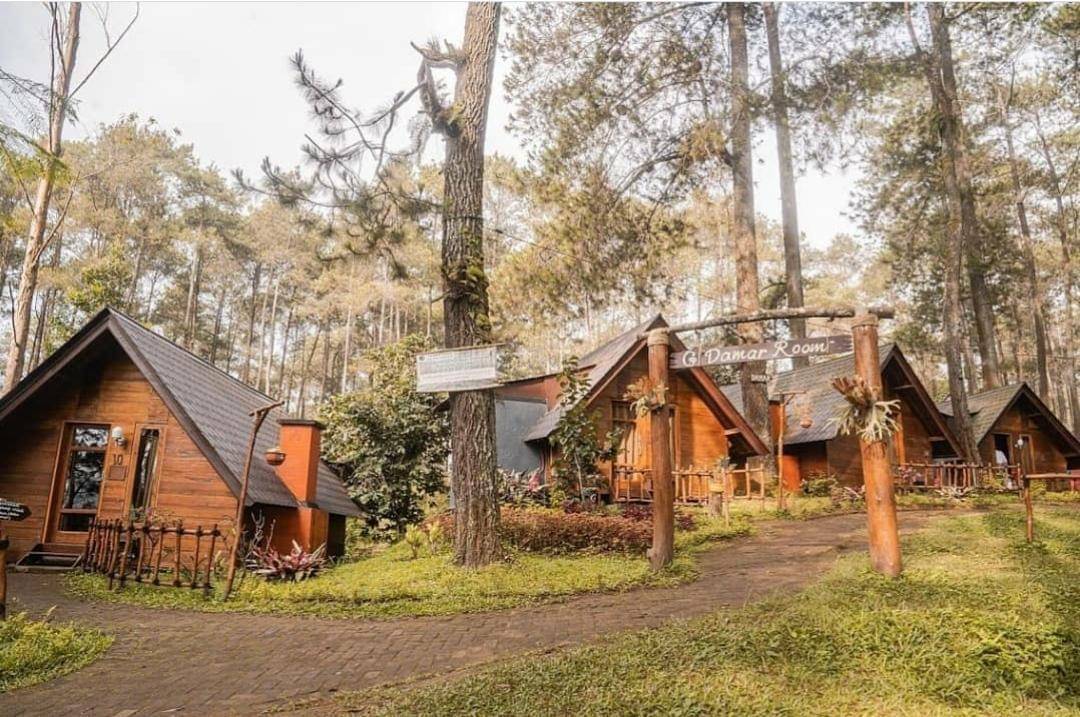 Instagram/officialgrafika