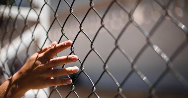 Pexels/ Caroline Martins