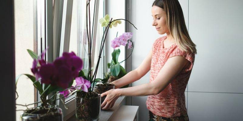 Freepik/ArthurHidden