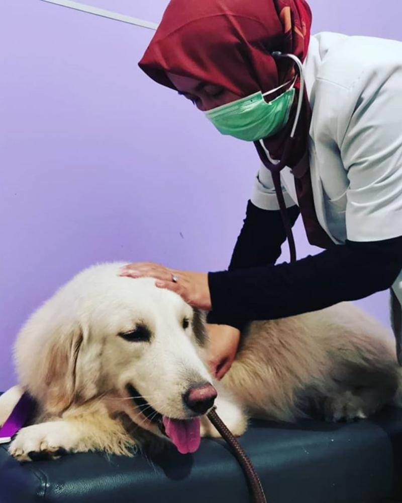 Instagram.com/drh.nurulanjar