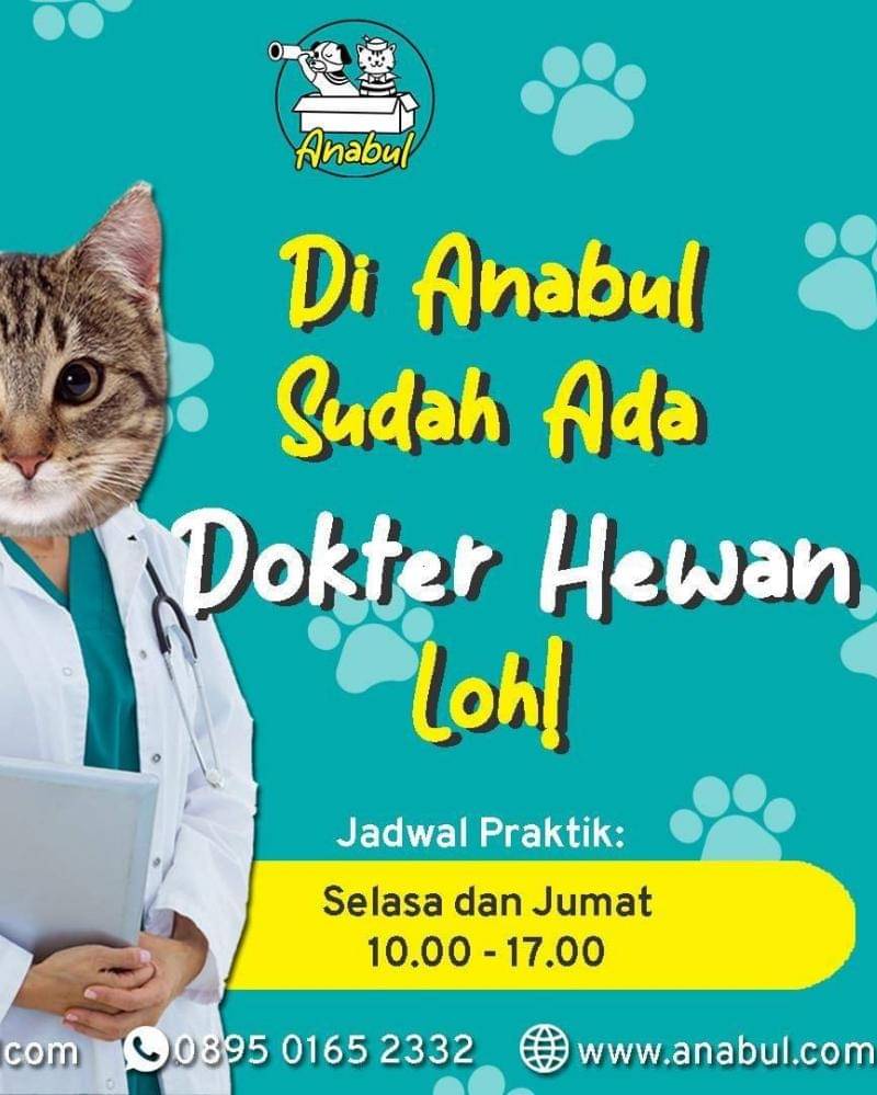 Instagram.com/anabulcom