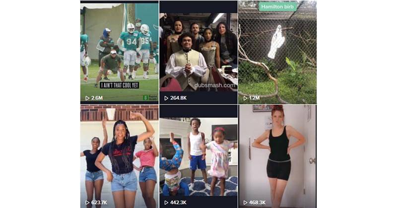 TikTok/hamiltonmusical