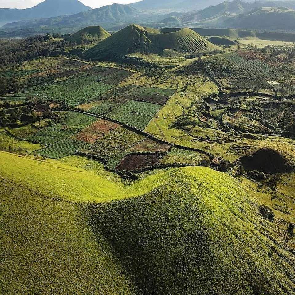 Plat P Daerah Mana? Cek Wilayah dan Fakta Unik Plat Nomor di Indonesia