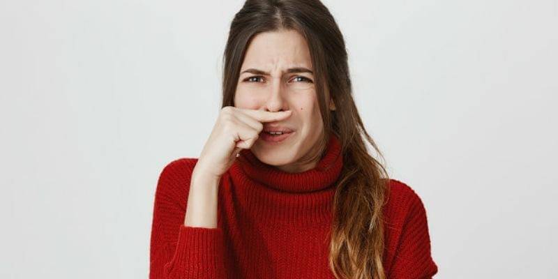 Freepik/cookie_studio 