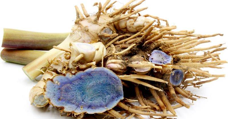 Specialtyproduce.com