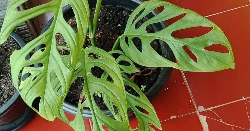 Instagram.com/nuni_13