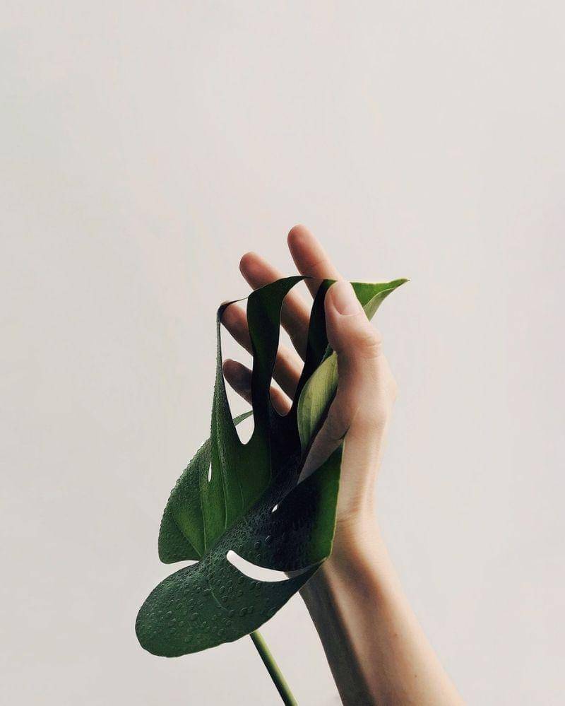 Pexels/Daria Shevtsova