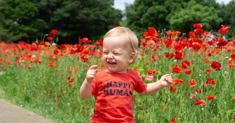 Unsplash/Alyssa Stevenson