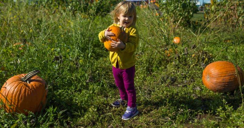 Unsplash/Patrick Fore