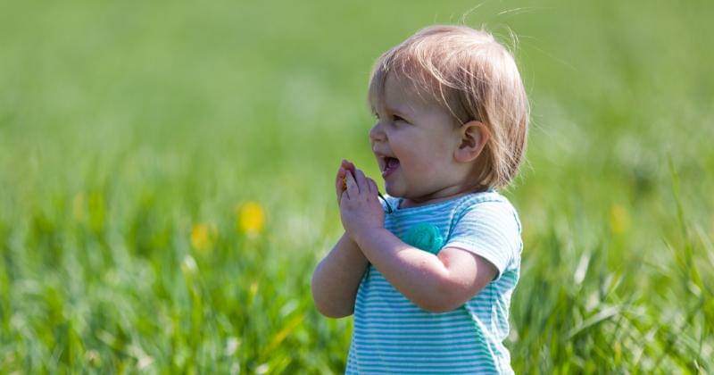 Unsplash/Patrick Fore