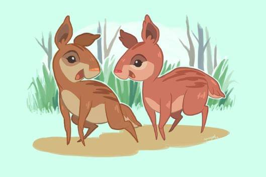 saribayan.wordpress.com