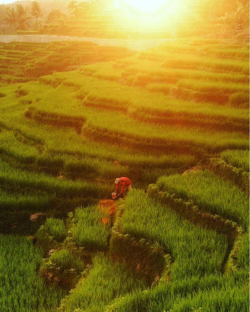 instagram.com/ferdychocky