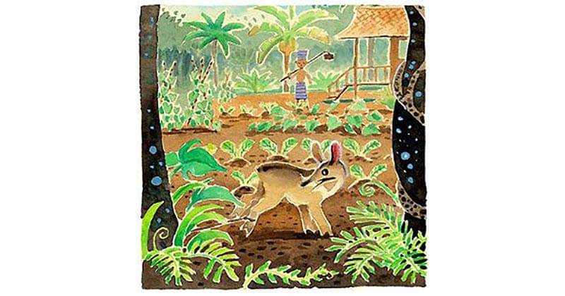 tankimlim.blogspot.com