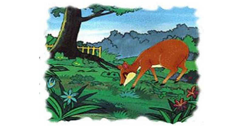 dongengceritarakyat.com