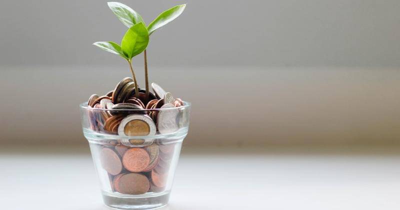 Unsplash/Micheile Henderson