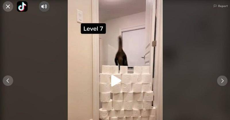 Tiktok/caeharrington