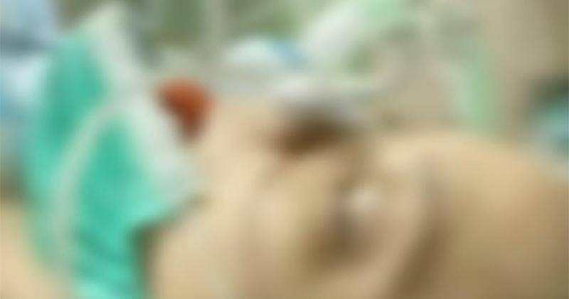 Instagram.com/hannykristianto