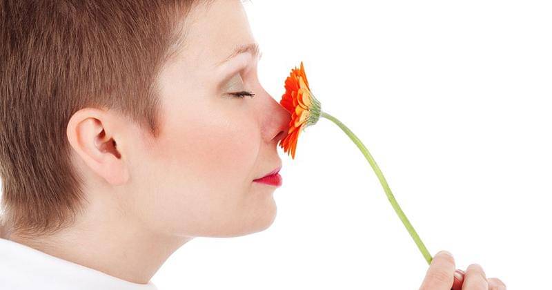 Pixabay/PublicDomainPictures 