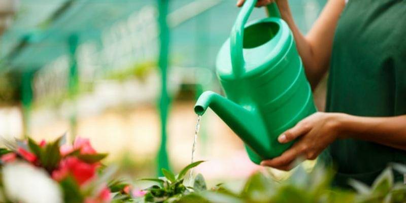 Freepik/cookie_studio