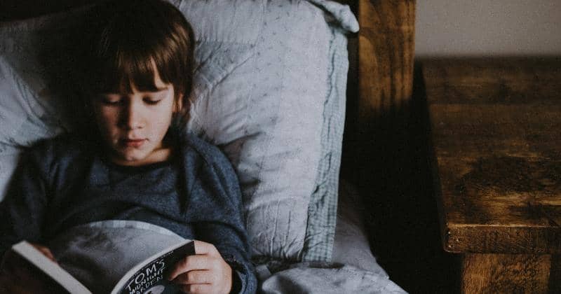 Unsplash/Annie Spratt